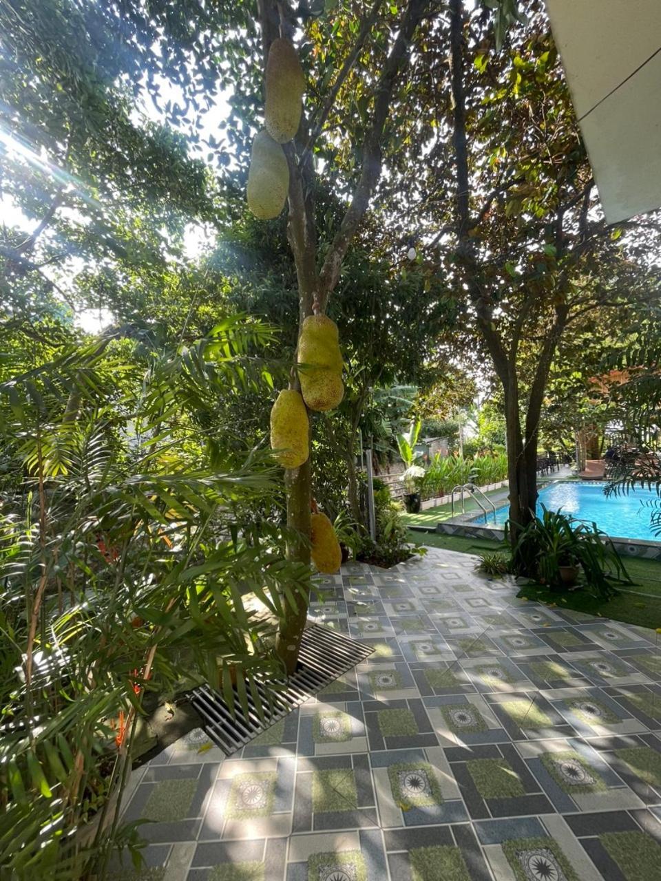 Tam Coc Relax Homestay Ниньбинь Экстерьер фото