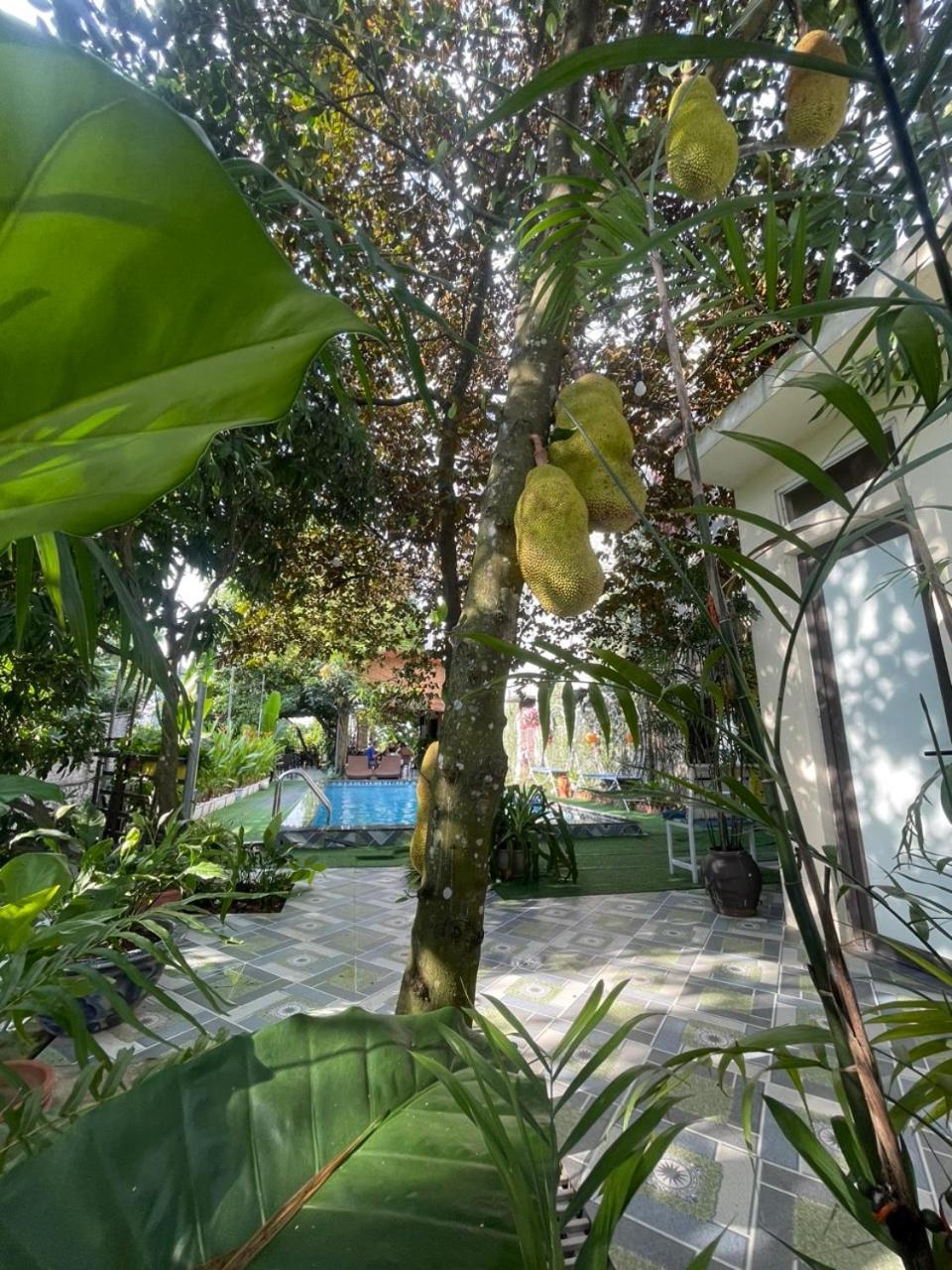 Tam Coc Relax Homestay Ниньбинь Экстерьер фото